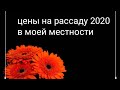 Цены на мою цветочную рассаду 2020. Нижегородская область