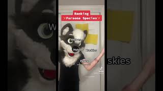 fursona species ranked! #furry #tierlist #fursuiter #zeusthewolfy