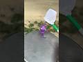 ピクミンを捕まえたら最後悲惨なことに…【ピクミンの歌】 #shorts #pikmin #ピクミン