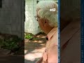 Bears euthanized after home break-ins