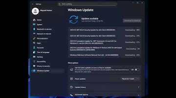 2025-10 Cumulative Update for Windows 11 Version 24H2 for x64-based Systems (KB5066835) (26100.6899)