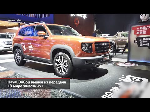 Haval H6 приготовился, а Haval DaGou вышел из передачи «В мире животных» | Новости с колёс №1029