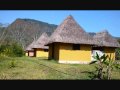 BANDA DE VIENTO HUASTECA HIDALGUENSE 3