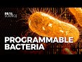 Programmable bacteria natures most powerful tool