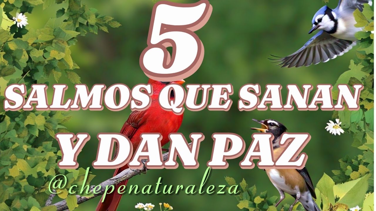 5 SALMOS QUE SANAN EL ALMA Y DAN PAZ _ PODEMOS SALMOS CON EXPLICACIÓN ...