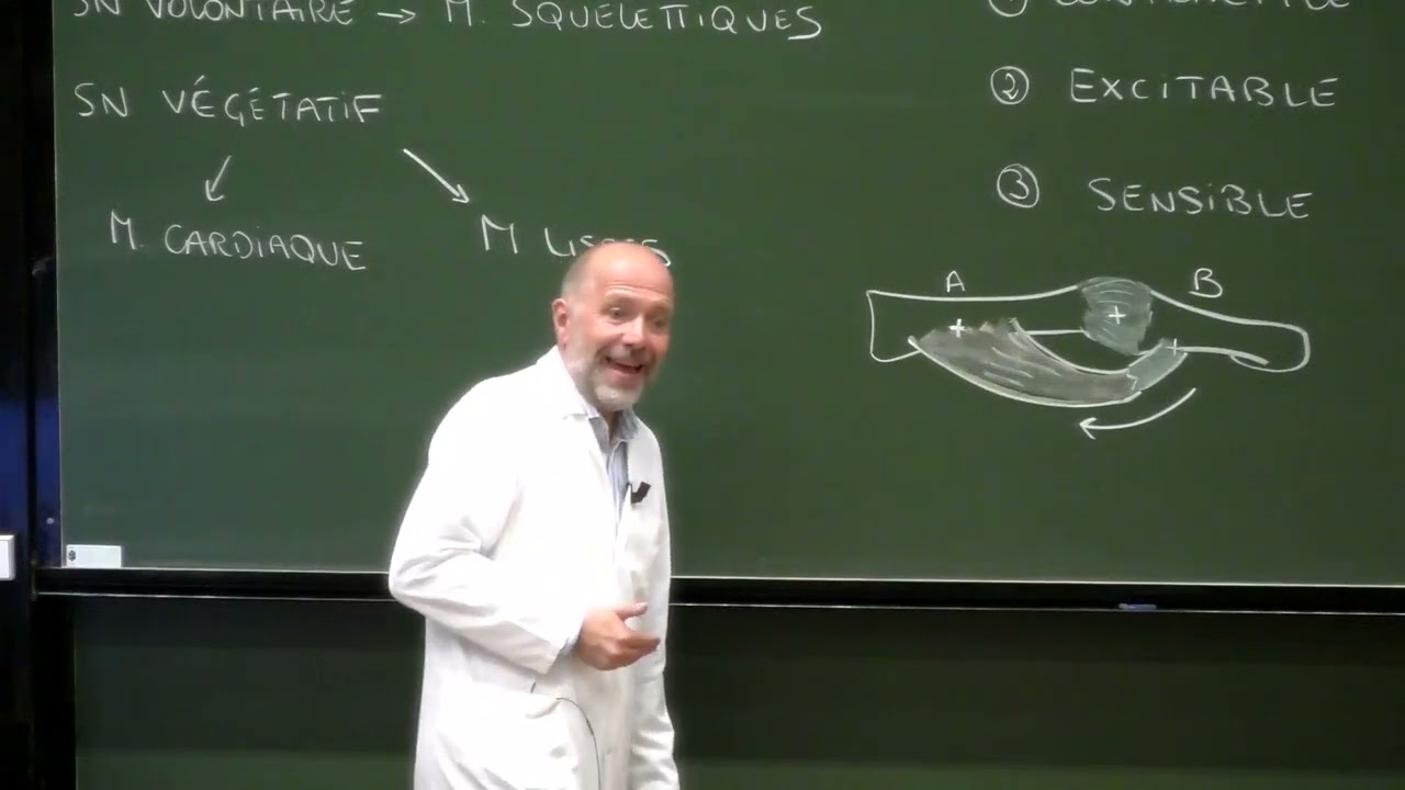 Anatomie générale 5 : Anatomie générale des muscles (myologie)