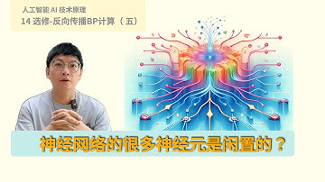 14」 神马，ChatGPT竟然有很多神经元是闲置的！！｜反向传播｜BP 算法｜求导｜梯度计算｜大模型｜LLM｜人工智能｜AI｜深度学习｜如何入门 AI｜