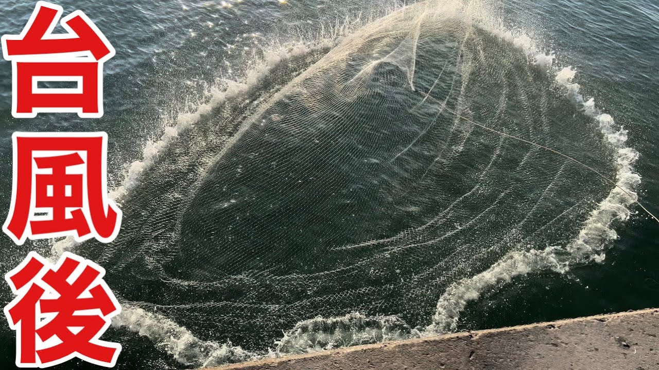 台風後の漁港で巨大投網を投げたらヤバすぎた
