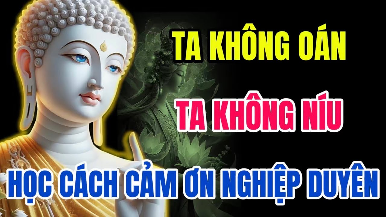 Ta Không Oán Ta Không Níu – Cảm Ơn Duyên Nghiệp – Lời Phật Dạy Buông Bỏ Tình Dang Dở