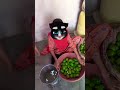 😺😺Billi boli 🫒🫒meow 🐈🐈🐈#bollywood