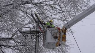 Seattle City Light Crews Tackle Snowstorm Power Outages