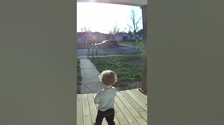 Toddler Returns Neighbor's Dog After It Got Loose