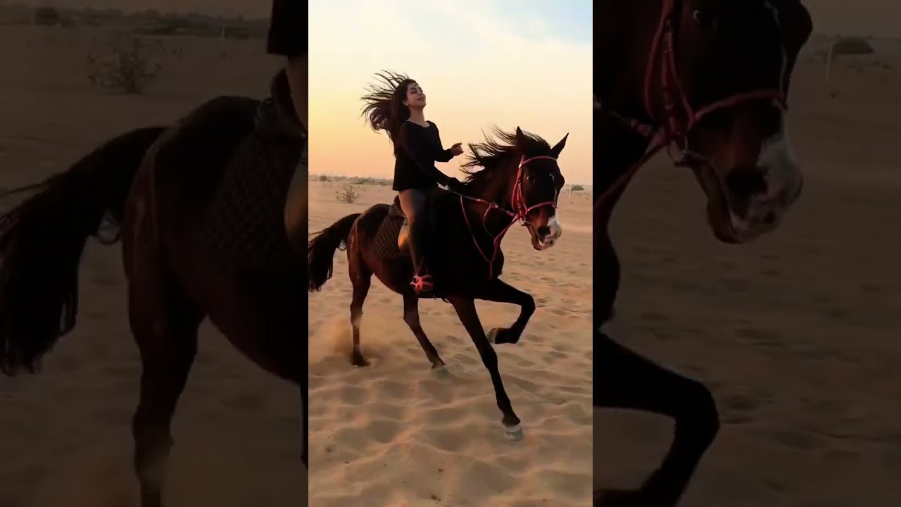 the horse is a little rider rad haddy racisr horse god boy