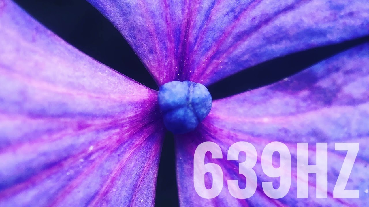 Healing Sounds／Tuning fork／639hz／Frequency／609min - YouTube