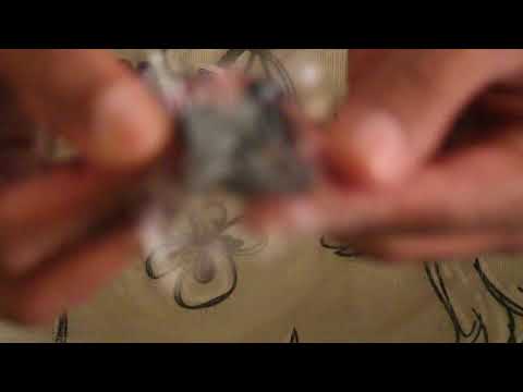 firefly-bluetooth-earbuds-by-kickstarter-unboxing