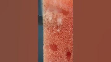 Melting sponge #asmr #macro