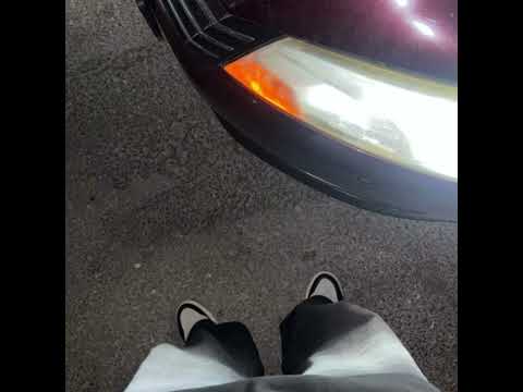 انا امنت لعالم كدابه بطيء