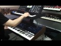 OBERHEIM OB-XA + MINIMOOG VOYAGER