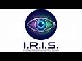 I.R.I.S. – Look at It. Say It. Done. | AI-Powered Gaze Interface