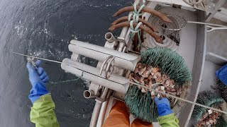 Halibut Fishing - Give 'em a Smorgasbord! | Alaska Halibut Longlining