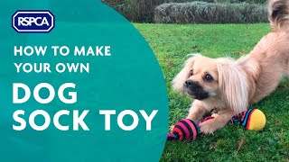 DIY Dog Sock Toy