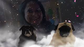 ❤️ANNAS SONG❤️     ❤️ A LOVING TRIBUTE To ANNA❤️