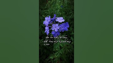 سبحان الله وبحمده |اذكار |ارح سمعك |قران كريم 💜