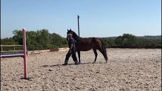 Ad ref 286232 Video 2