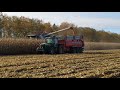 Kukurydza na ziarno 2020 - Kombinat Rolny Kietrz cz3
