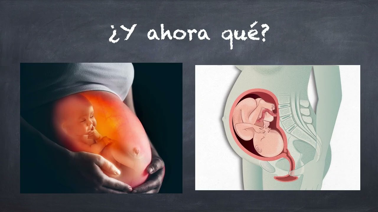 FECUNDACION, GESTACIÓN Y NACIMIENTO.