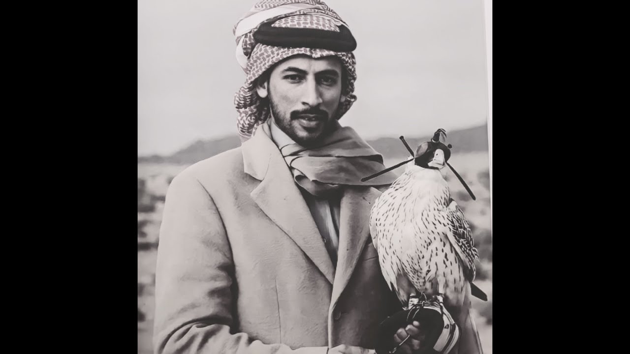 تجميعات محمد بن فطيس - snowfall