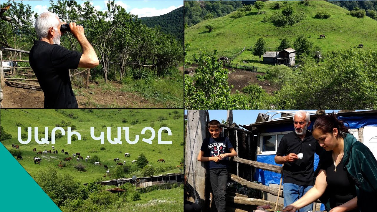 Հարսին ասի եթե տենուս արջն ինձ բռնեց, դու փախիիիի՜. սարվոր