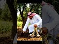 سر زراعة البصل والثوم بين الأشجار لطرد الآفات طبيعيًّا 🧄🧅 #CompanionPlanting #Shorts #البصل_والثوم