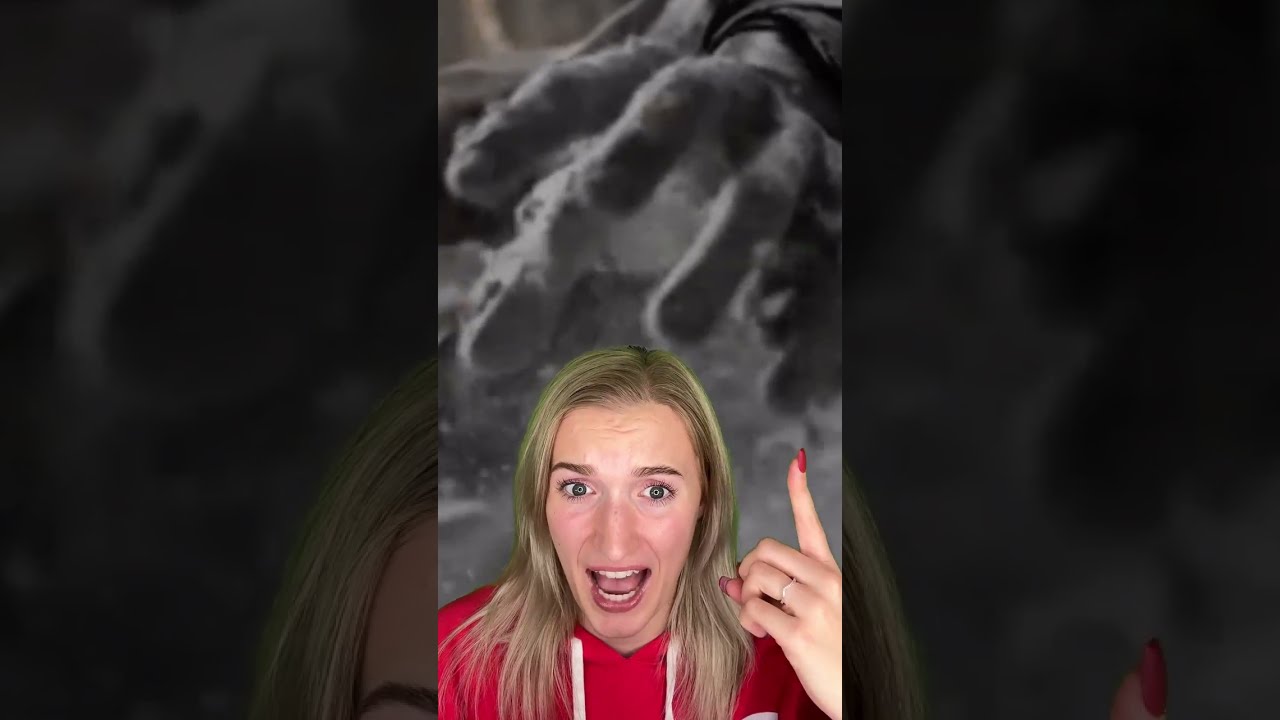 THE DARK TRUTH BEHIND RING AROUND ROSIE 