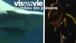 Dépasser sa phobie des poissons - Vis ma vie