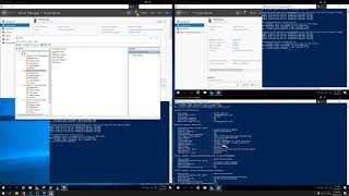 INFO2275 Lab 1 Demo Video