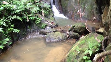 Câu cá suối rừng mát rượi   Thắng cảnh thiên nhiên sgaFyY6R4GM