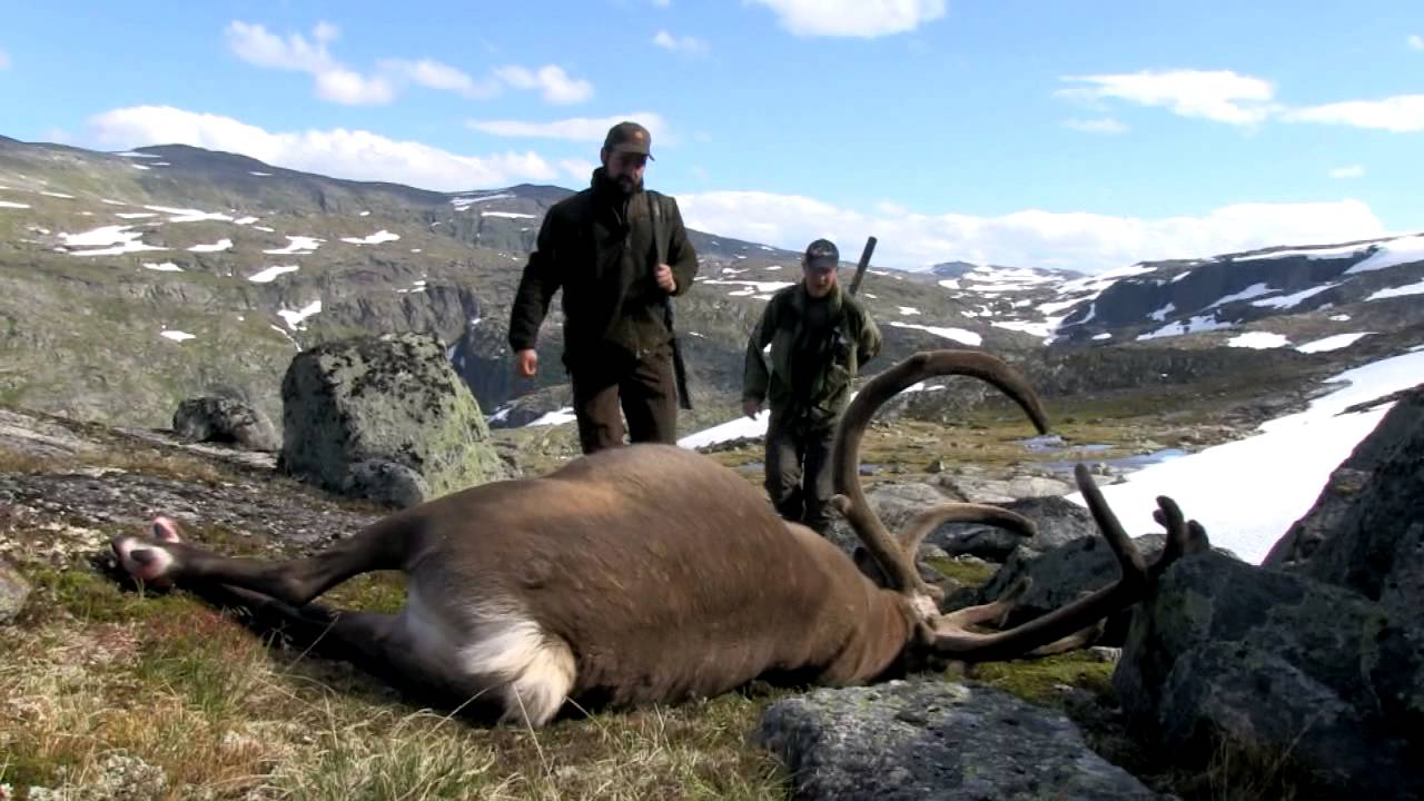 Hunt & Cook: Rudolf the Reindeer