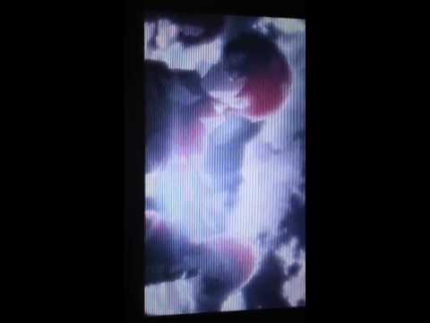 紅蓮の弓矢 3DS