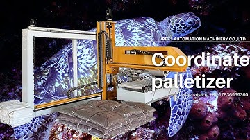 Vpeks Automation Cartesian Coordinate Robot Palletizing Machine Test Run