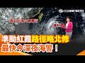 颱風紅霞逼近：生成、路徑與海警風雨預警