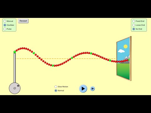 Wave on a String Simulation