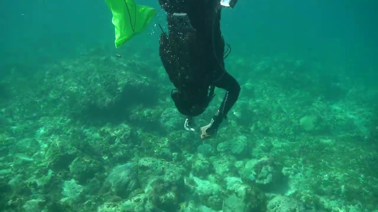 Mary Shodipo deploying AudioMoth sound recorders in Danjugan Island, Philippines
