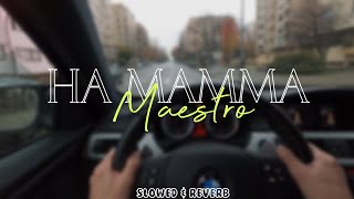 MAESTRO - Ha Mamma ( 𝐒𝐋𝐎𝐖𝐄𝐃 & 𝐑𝐄𝐕𝐄𝐑𝐁 )