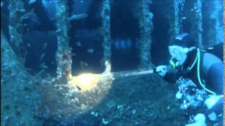 Le Donator By Europeandiving