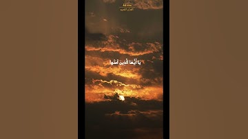 إن الله وملائكته يصلون علي النبي | القارئ عمر الدريويز | القرآن الكريم