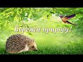 Бережи природу!