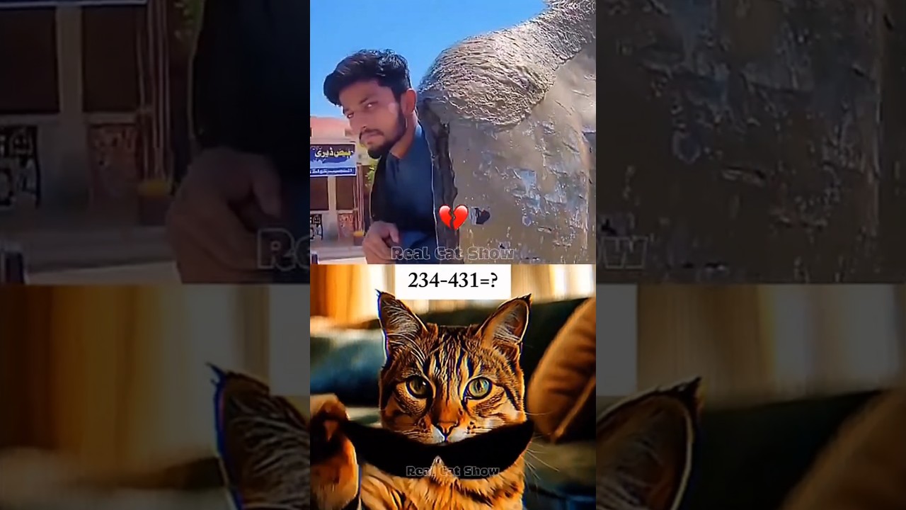 Give me a title for this Specific video 😂 