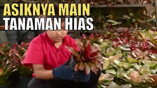 Mengenal Tanaman Hias Untuk Hobi Bercocok Tanam Kamu  | SI UNYIL (03/08/20) PART 2