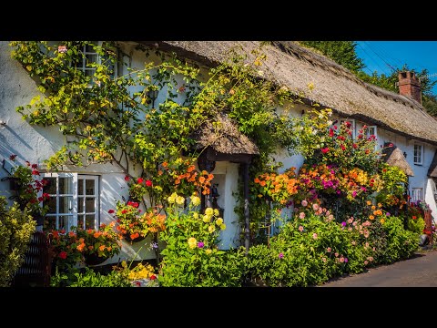 Video: Work At The Summer Cottage In May